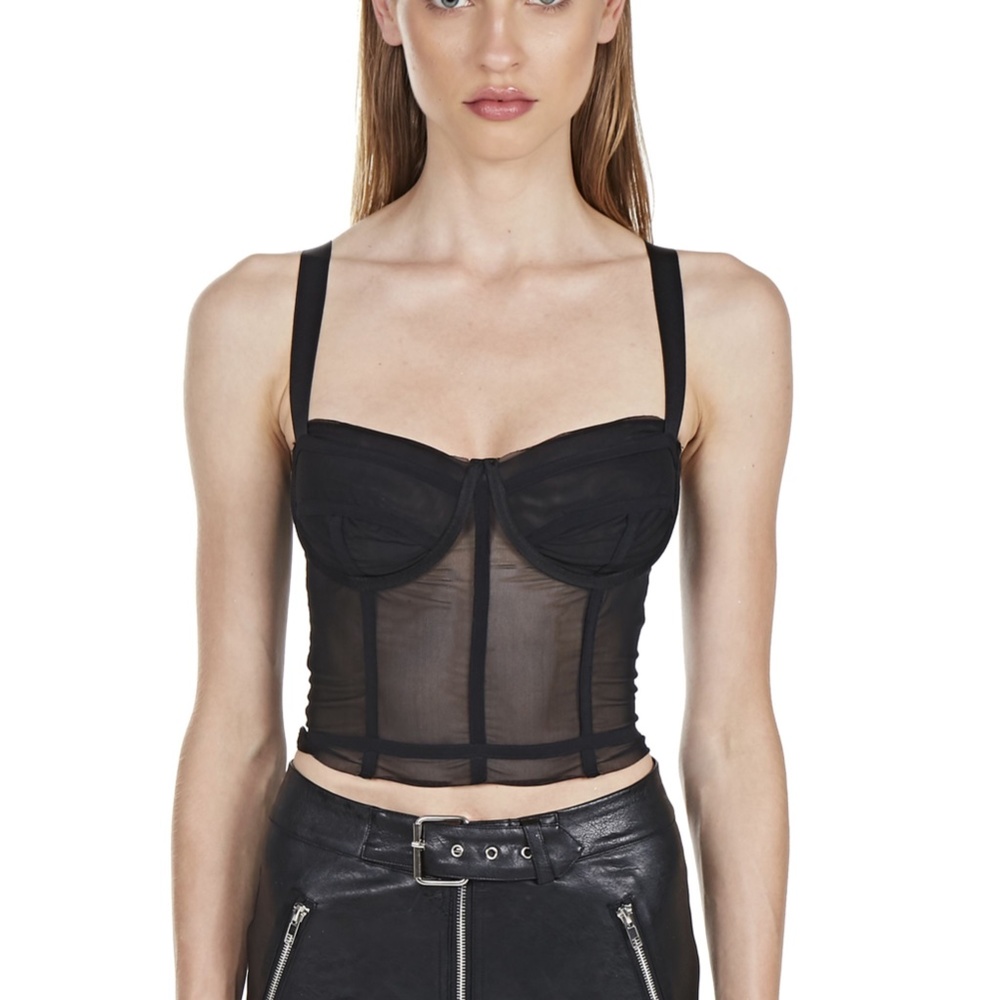 Danielle Guizio Black Mesh Corset Top